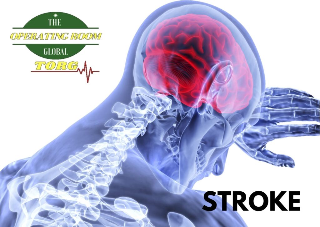 Stroke – Cardiovascular Accident: What you need to know! – The ...